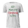 All I Want For Christmas Is You. T-shirt e sweatshirt personalizadas para criança com tema de natal. Lettering verde e vermelho